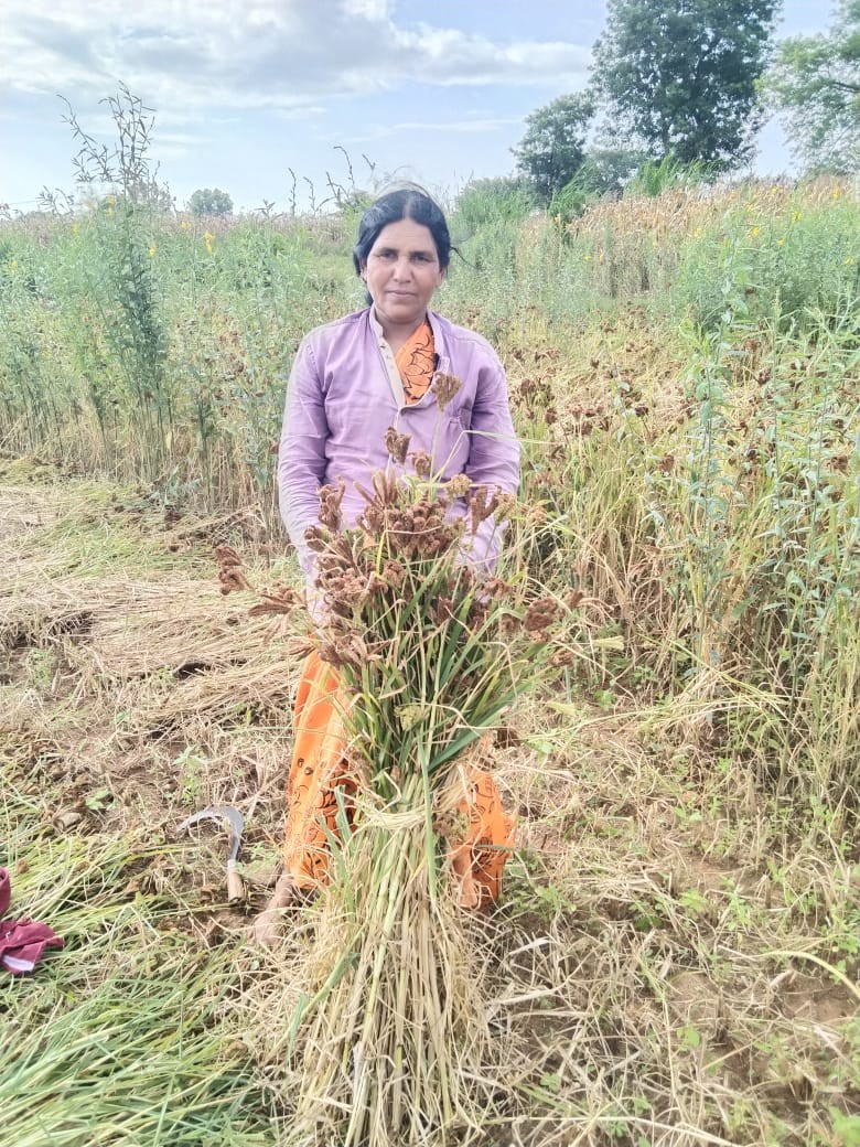 Woman farmer holding a harvested bunch of finger millet