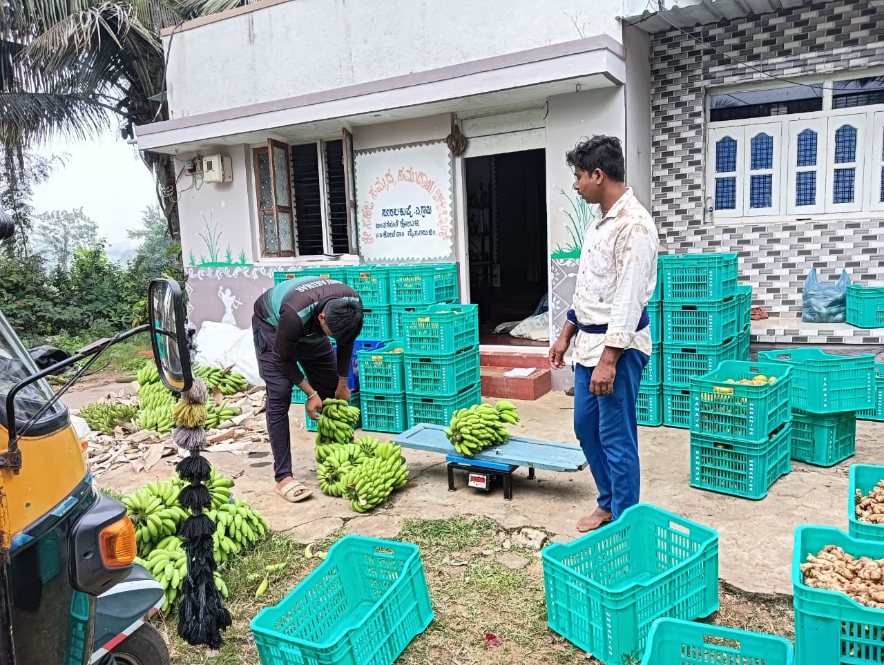 Vegetables being sorted into crates at the godown