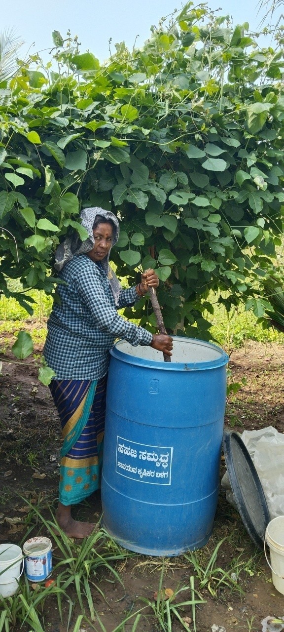 Woman farmer preparing organic bio-input in a drum