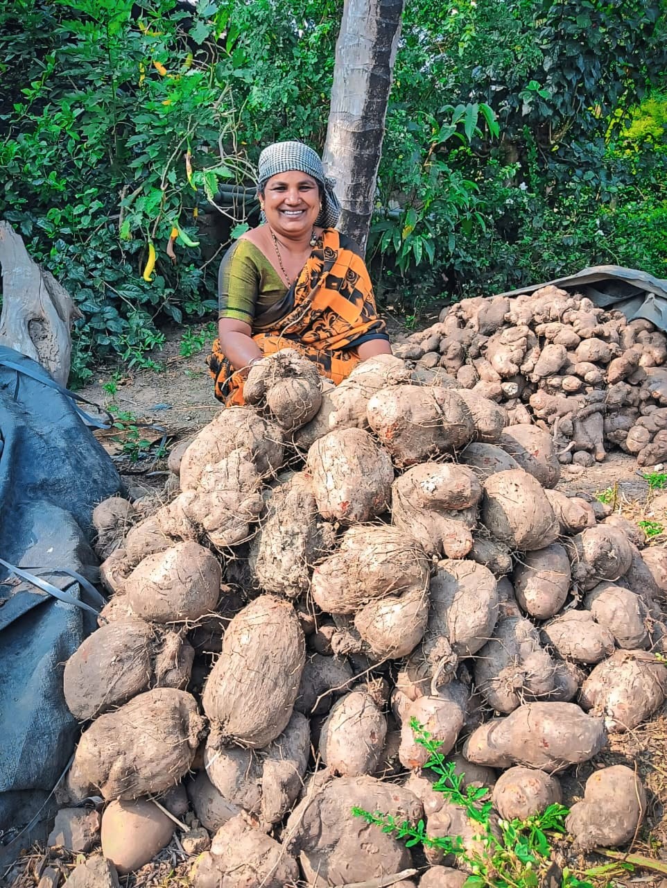 Woman farmer with a heap of freshly harvested tubers